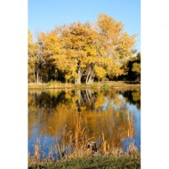 fall-colors-reflected-in-water-thumbnail