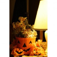halloween-treat-bags-full-of-candy-for-trick-or-treaters-thumbnail