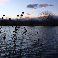 Lake at Dusk in November - Free High Resolution Photo Lake at Dusk in November - Free High Resolution Photo