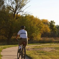 Man Riding Bike on Path - Free High Resolution Photo Man Riding Bike on Path - Free High Resolution Photo