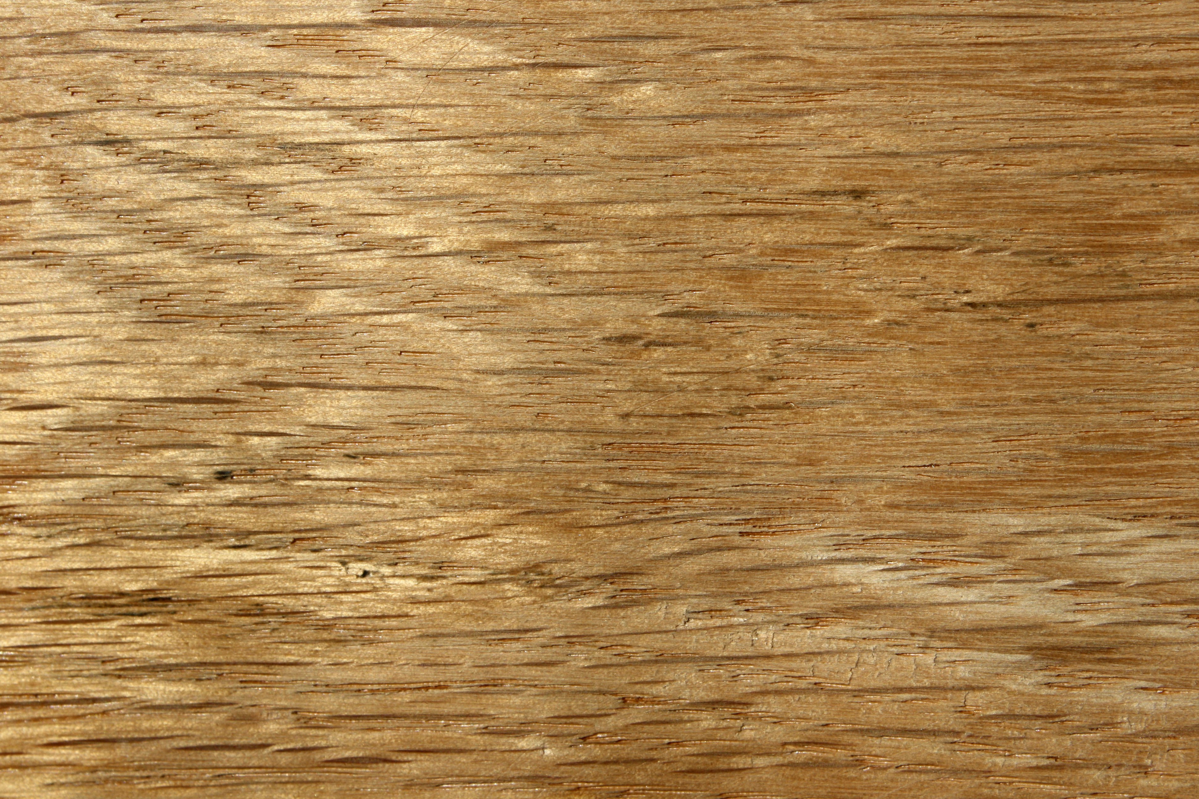 Examples Of Oak Wood At Jack Oneill Blog