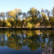 Sun on Autumn Trees Reflected in Water - Free High Resolution Photo