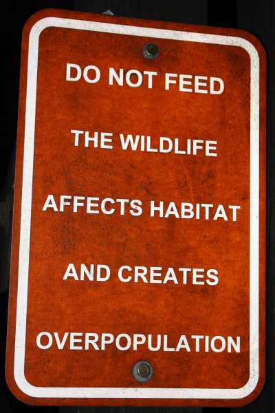 Do Not Feed the Wildlife Sign - Free High Resolution Photo