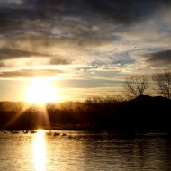 Setting Sun at the Lake - Free High Resolution Photo Setting Sun at the Lake - Free High Resolution Photo