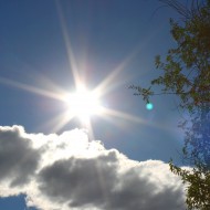 Sun in Blue Sky with Cloud and Tree - Free High Resolution Photo