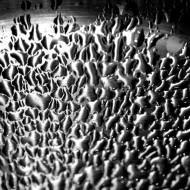 Drops of Water Texture - Free High Resolution Photo