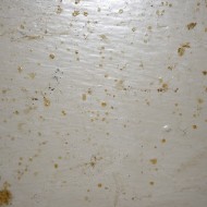 Grease Splatter Grunge Texture - Free High Resolution Photo