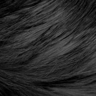 Long Haired Black Cat Fur Texture - Free High Resolution Photo