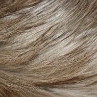 Long Haired Cat Fur Texture - Free High Resolution Photo