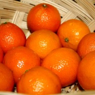 Tangerines - Free high resolution photo Tangerines - Free high resolution photo