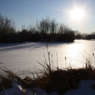 Bright Sun over Frozen Pond - Free High Resolution Photo