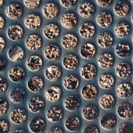 Green Metal with Holes Texture - Free High Resolution Photo