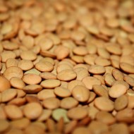 Lentils - Free High Resolution Photo Lentils - Free High Resolution Photo