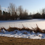 Snow Covering Frozen Lake in Winter - Free High Resolution Photo