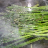 Steamed Asparagus - Free High Resolution Photo Steamed Asparagus - Free High Resolution Photo