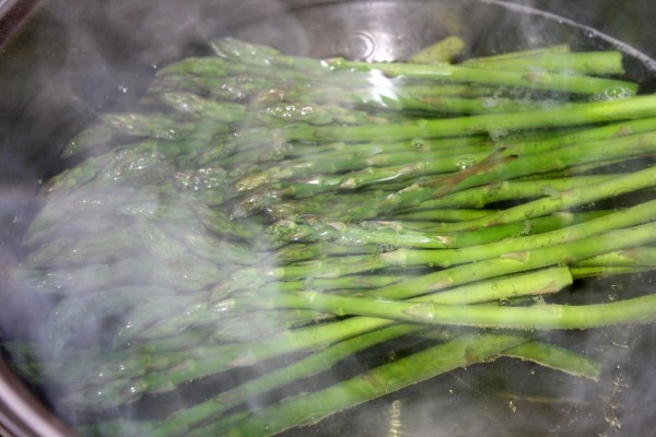 Steamed Asparagus - Free High Resolution Photo