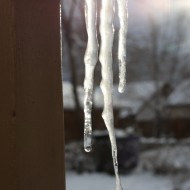 Sun Shining through Icicles - Free High Resolution Photo
