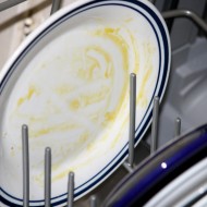 Dirty Plate Scraped but not Rinsed - Free High Resolution Photo