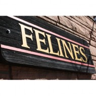 felines-sign-thumbnail