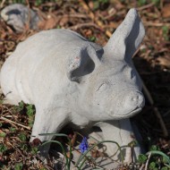 Pig Garden Figurine made of Cement - Free High Resolution Photo Pig Garden Figurine made of Cement - Free High Resolution Photo