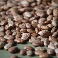 Pinto Beans - Free High Resolution Photo Pinto Beans - Free High Resolution Photo