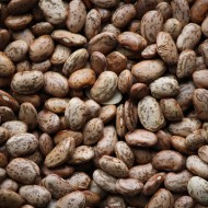 Pinto Beans Texture - Free High resolution photo