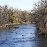 River in Early Spring - Free High Resolution Photo