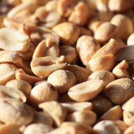 Roasted Peanuts - Free High Resolution Photo Roasted Peanuts - Free High Resolution Photo