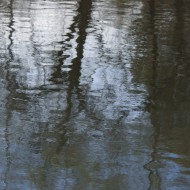 Tree Reflections in River Water - Free High Resolution Photo