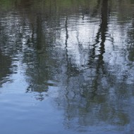 Water Reflecting Spring Trees - Free High Resolution Photo