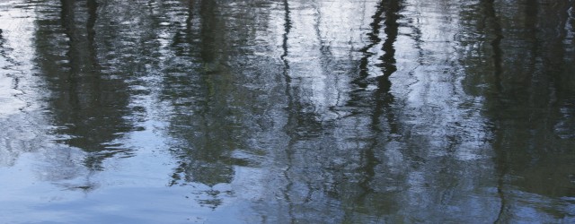Water Reflecting Spring Trees - Free High Resolution Photo