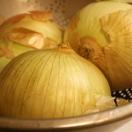 Onions - Free High Resolution Photo Onions - Free High Resolution Photo