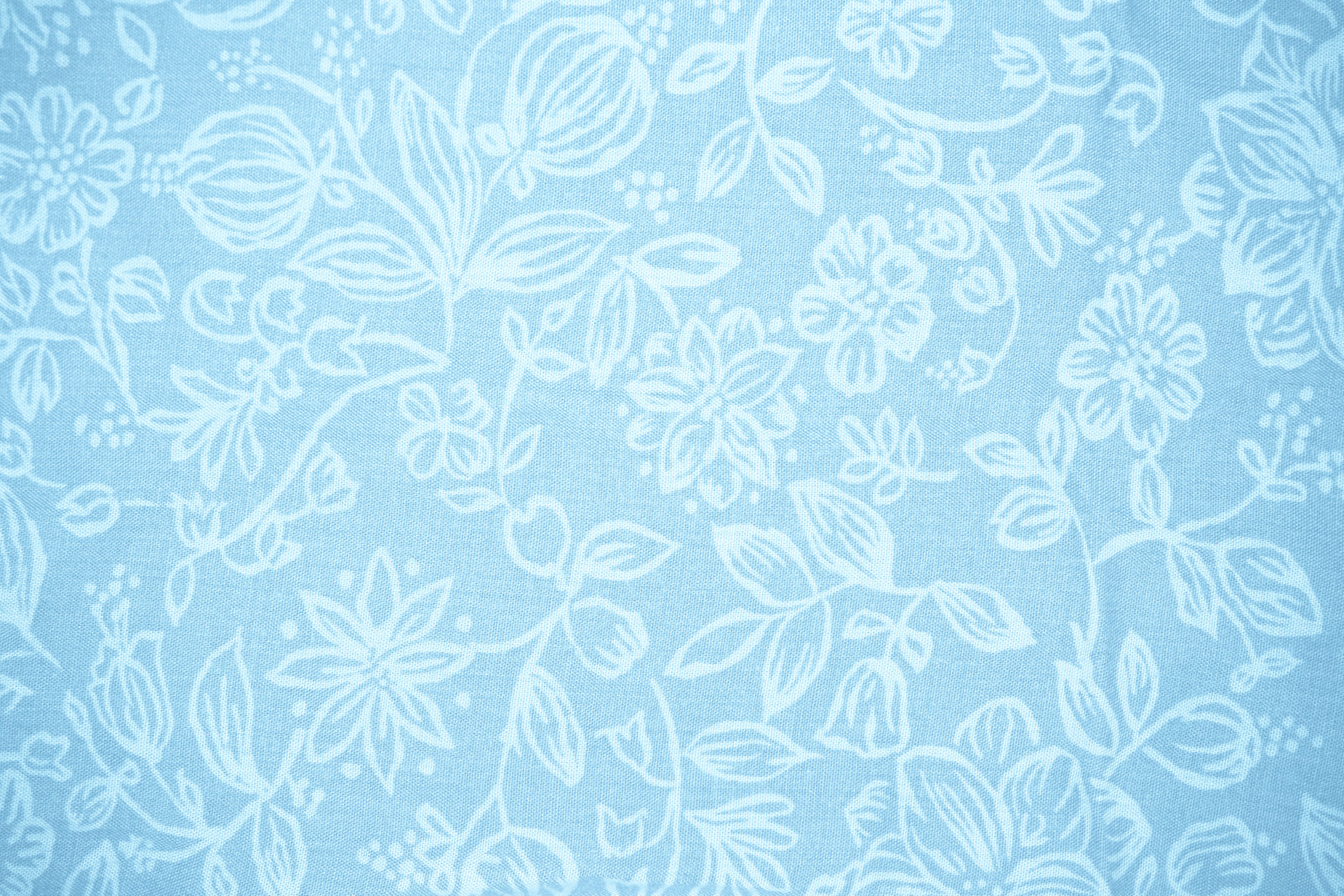 Baby Blue Floral Pattern