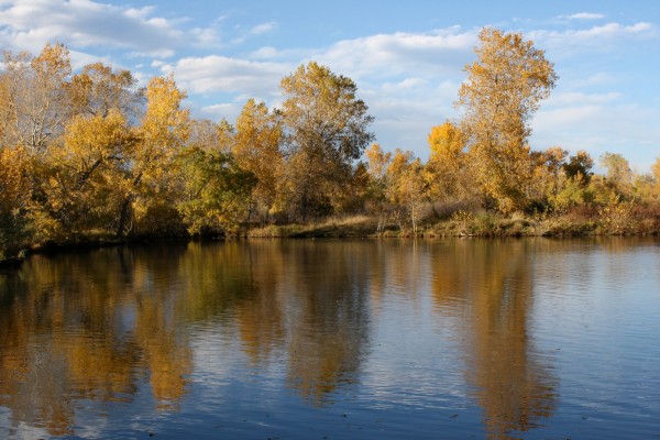Golden Fall Trees Reflected in Lake - Free High Resolution Photo