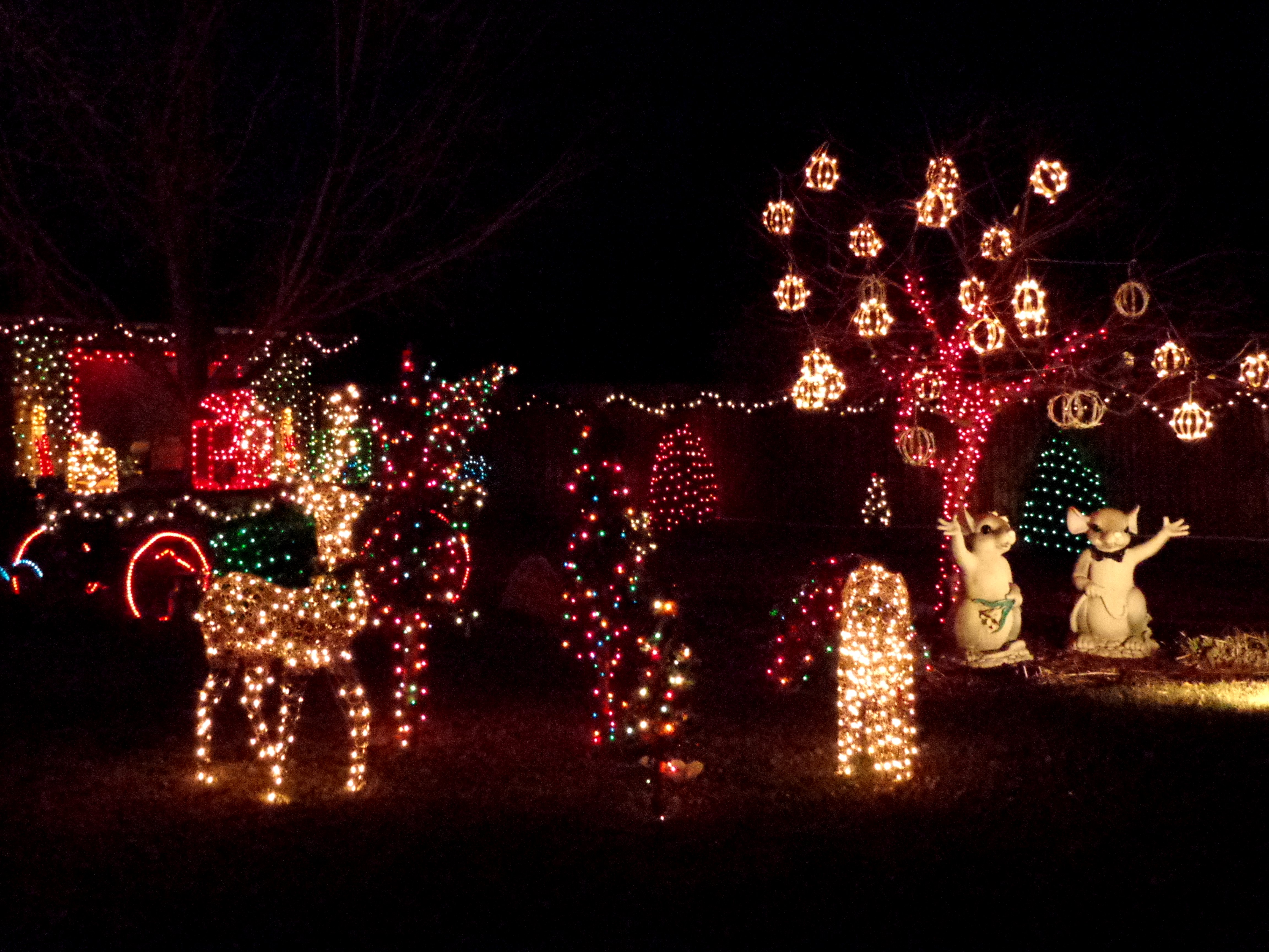 Holiday Lights Christmas Yard Decorations - Free High Resolution Photo ...