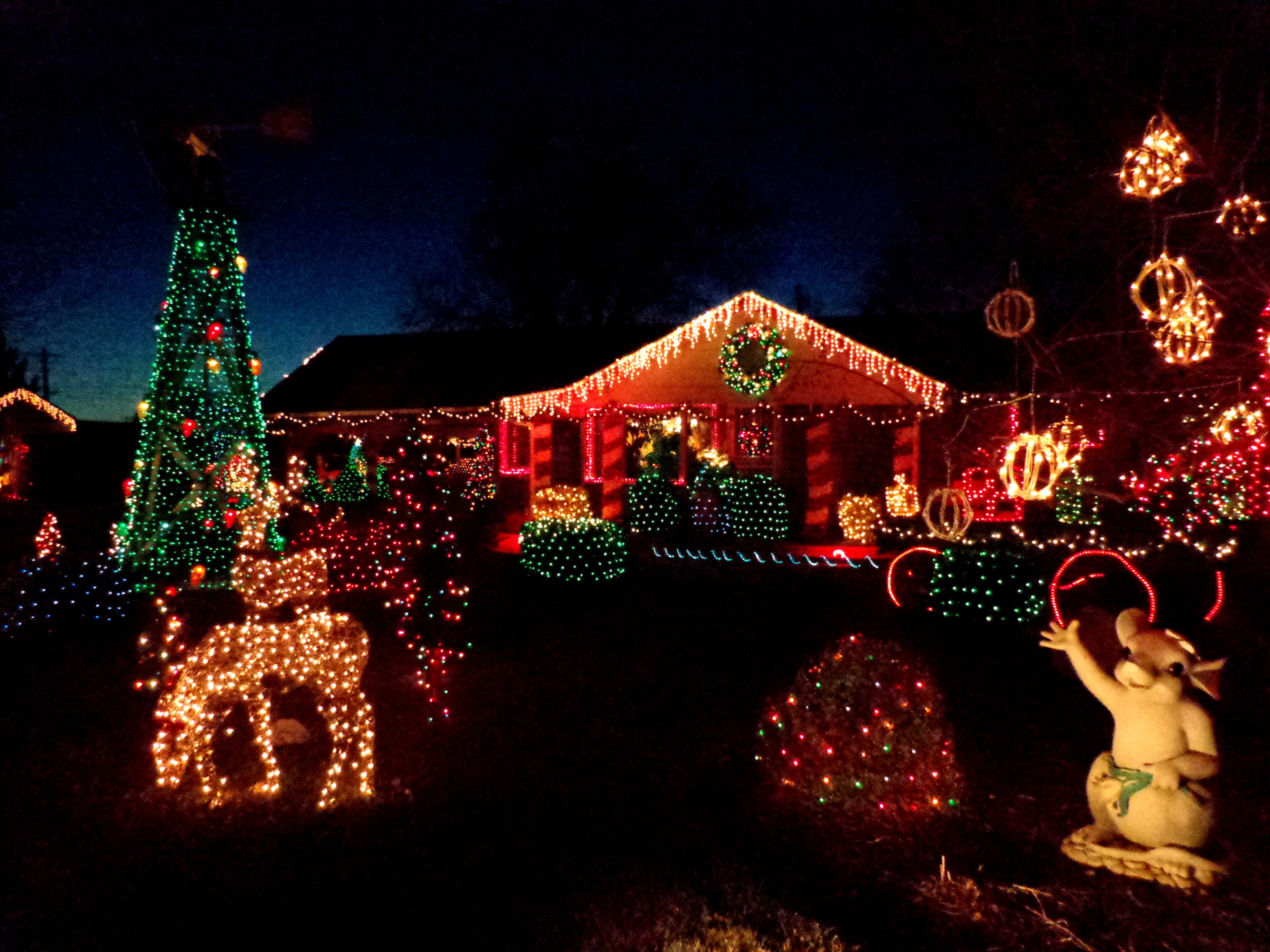 House Decorated with Christmas Lights Picture  Free Photograph