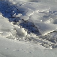 Broken Ice atop Winter Stream Bed - Free High Resolution Photo