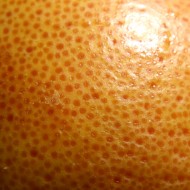 Grapefruit Skin Macro Texture - Free High Resolution Photo