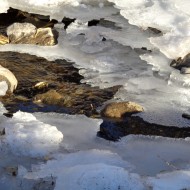 Winter Stream with Melting Ice - Free High Resolution Photo
