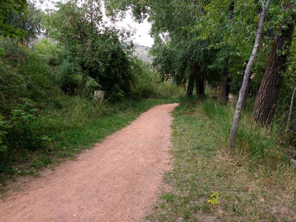 Dirt Path through Wooded Area - Free High Resolution Photo 