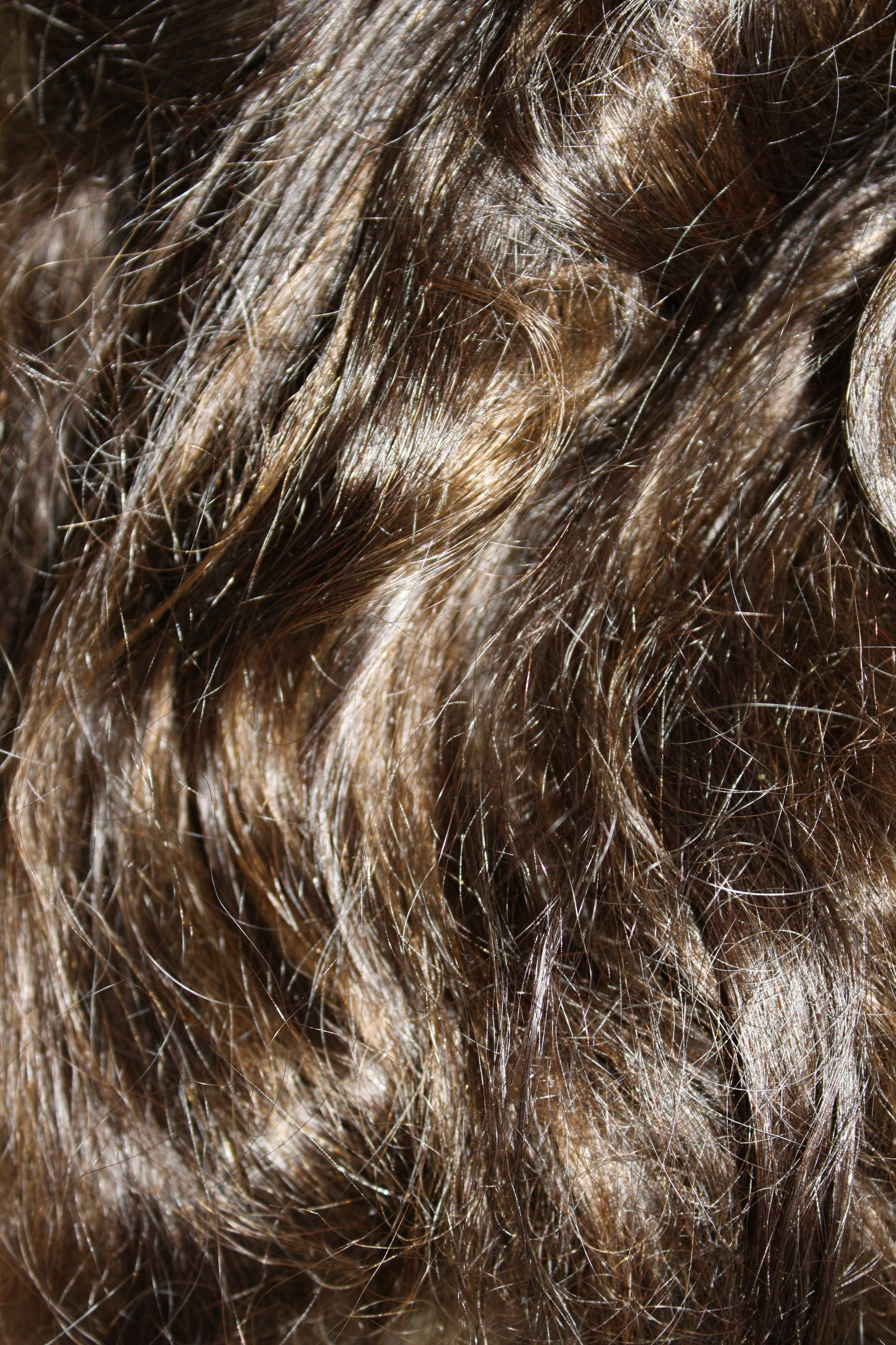 Wavy Brown Hair Texture Picture | Free Photograph | Photos Public Domain