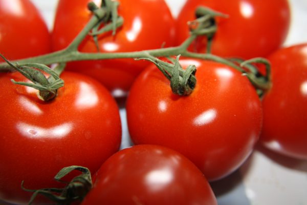 Vine Ripened Tomatoes - Free High Resolution Photo 
