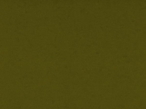 Olive Green Card Stock Paper Texture - Free High Resolution Photo 