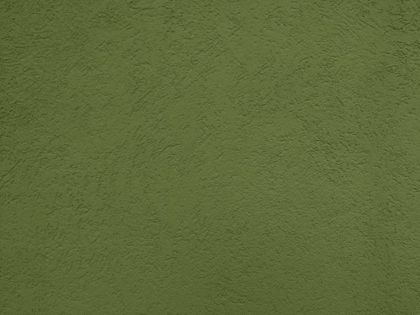 Pea Green Textured Wall Close Up - Free High Resolution Photo 
