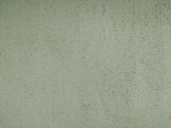 Sage Green Stucco Texture - Free High Resolution Photo