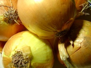 close up photo of yellow onions