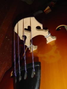 close up photo of the bridge of an acoustic bass guitar