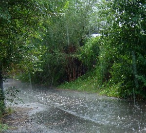 photo of raindrops falling in a paved asphault alley way