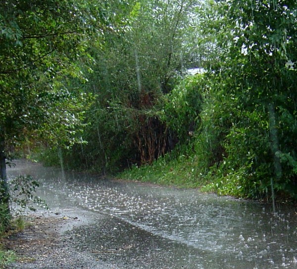 photo of raindrops falling in a paved asphault alley way 
