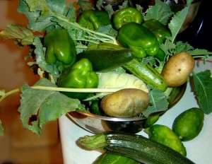 Bowl full of Peppers, pototoes, cucumbers, zucchini and kohlrabi